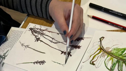 Close of of hand holding a pen, drawing an image of a plant at a table. There are other sheets of paper will illustrations places around the hand.